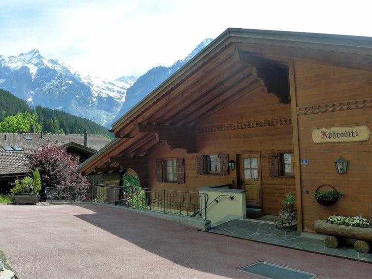 Appartamento Chalet Aphrodite Ost Grindelwald Esterno foto