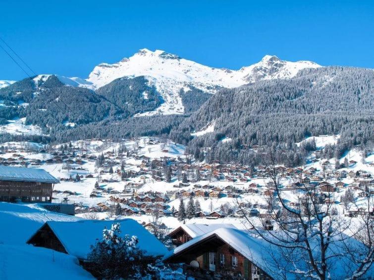 Appartamento Chalet Aphrodite Ost Grindelwald Esterno foto