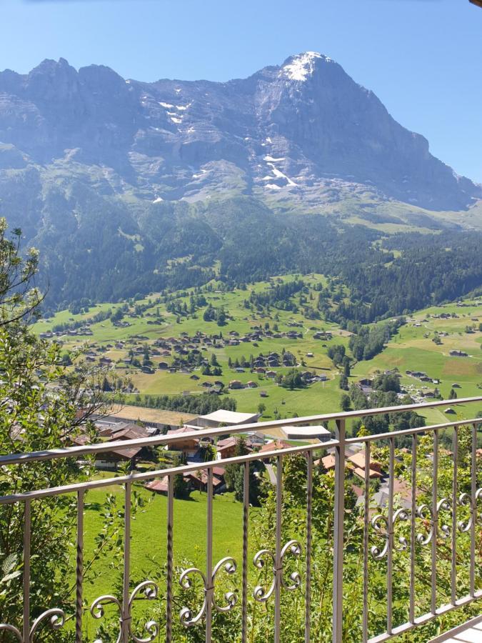 Appartamento Chalet Aphrodite Ost Grindelwald Esterno foto